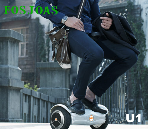 intelligent cheap electric unicycle