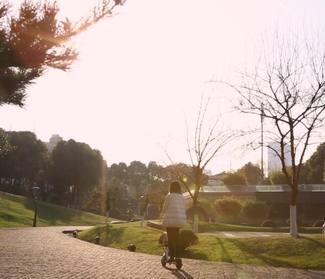 off road electric unicycle