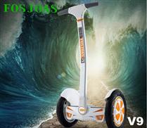 V9 self electric scooter